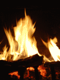 040120_fire2.gif