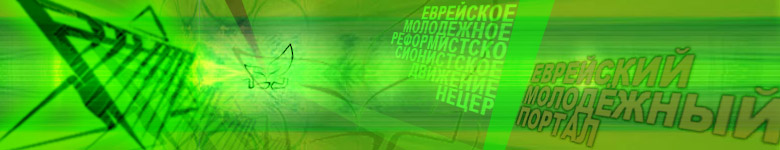 net2.jpg